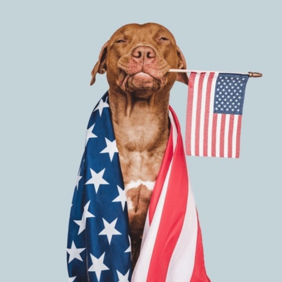 💋 VS Berry Shine Lip Plumper 💋 - Picture 9 of 13